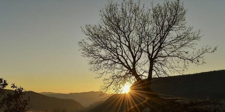 Bir Yabancılaşma ve Öze Dönüş Hikâyesi