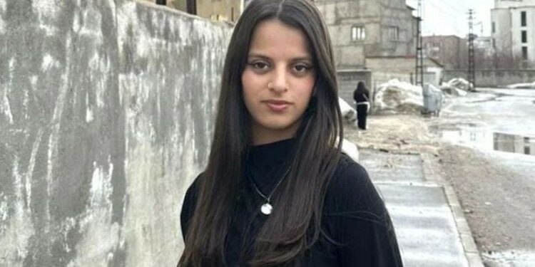 Gever’de Kaybolan Gökçe Baykal’dan Haber Alınamıyor