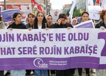 Rojin Kabaiş İçin Çağrı: Soruşturma Genişletilsin