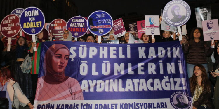 Rojin’in Kaybedilişinin 2’inci Yılı: Deliller Ortada Failler Korunuyor